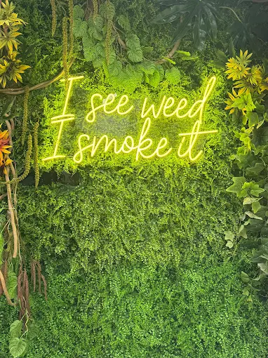 The neon Hamm & Chaz sign inside the shop on West Side Ave, Jersey City — cannabis delivery across Hudson County, NJ