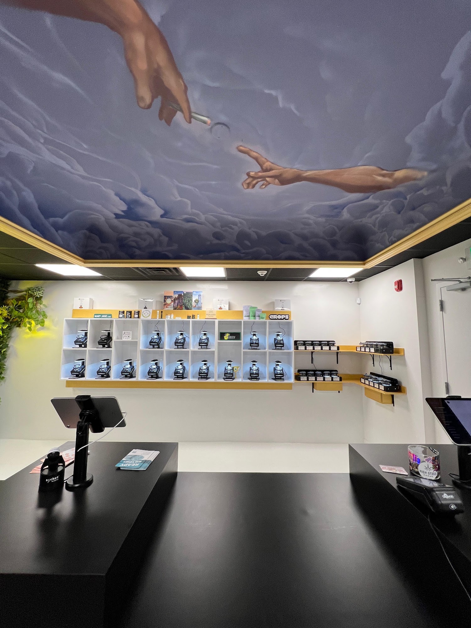 The flower display wall under the ceiling mural at Hamm & Chaz — cannabis delivery to Bergen County, NJ