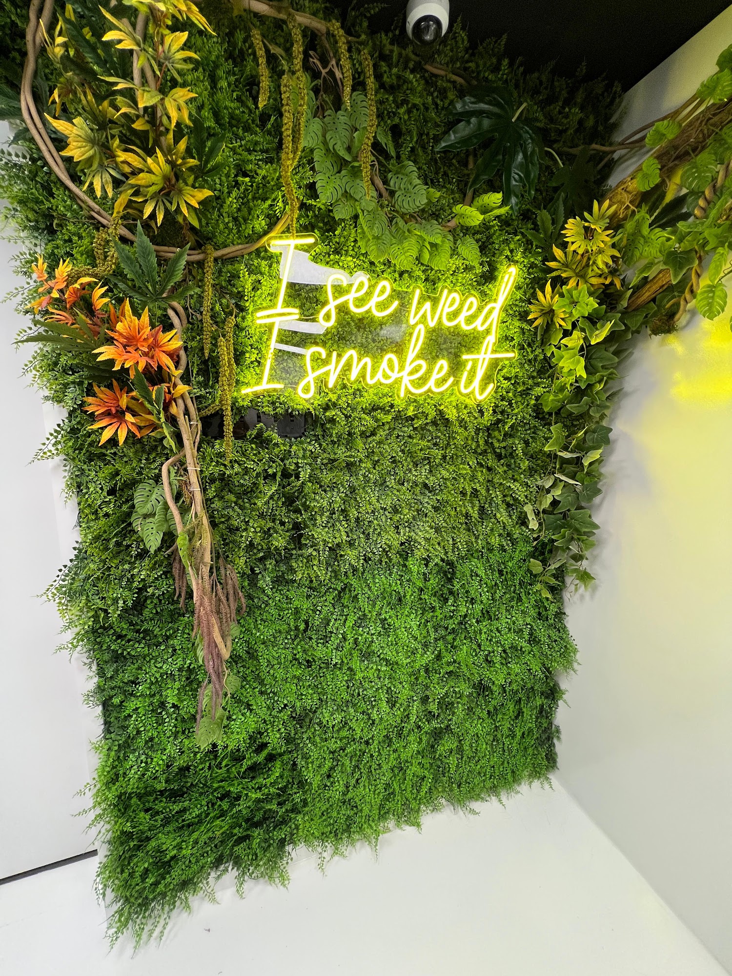The plant wall and neon sign inside Hamm & Chaz — cannabis delivery to East Orange, NJ